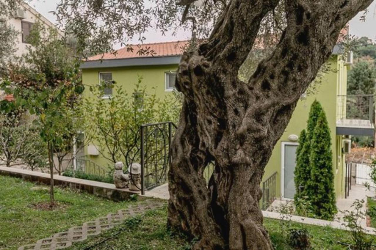 Olive Garden Petrovazzo